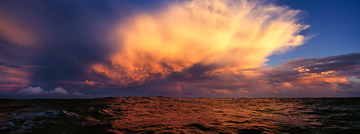 Michael Berman Photography